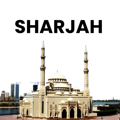 Sharjah Traffic Fine Check