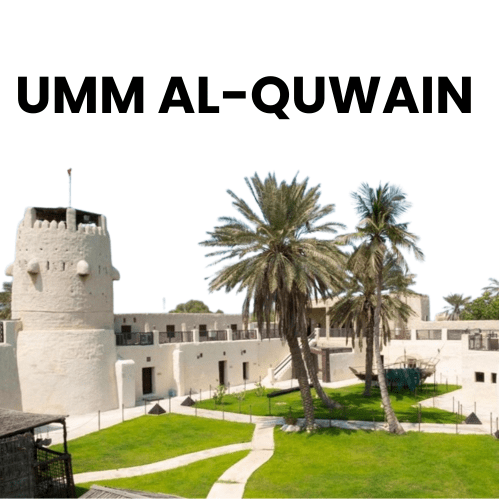 Umm Al-Quwain Traffic Fine Check