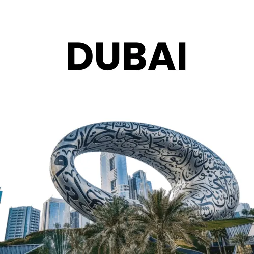 Dubai Traffic Fine Check