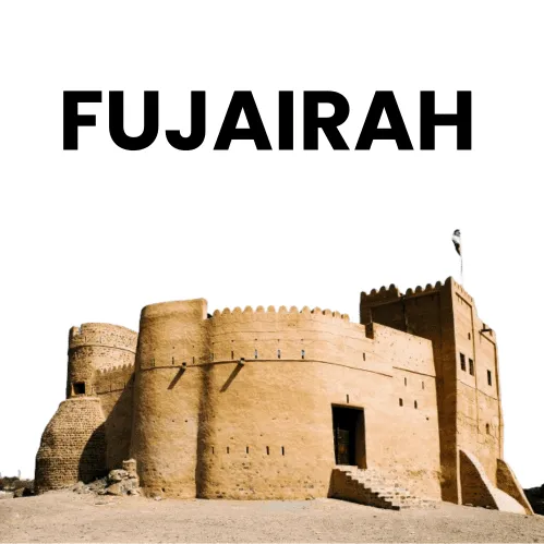 Fujairah Traffic Fine Check